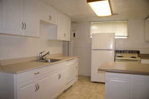 Older photo of Basement Kitchen