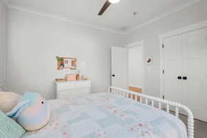 Bedroom featuring ornamental molding, ceiling fan, a closet, and carpet
