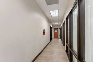 Hall with a drop ceiling and light wood finished floors