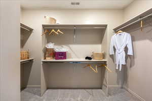 Spacious closet featuring light carpet