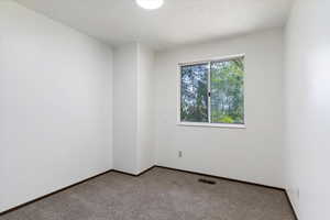 Carpeted empty room with baseboards