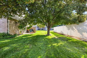 View of yard with a patio area