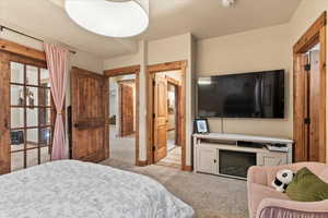 Bedroom featuring light carpet and a closet