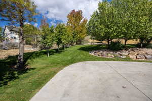 View of grassy yard with view of wooded area