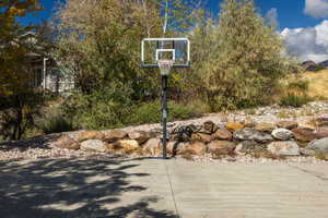 View of basketball standard