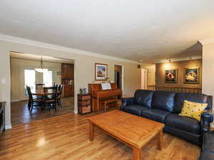 Living area featuring ornamental molding, light wood-style floors, and a textured ceiling