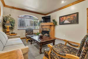 Carpeted living area featuring ornamental molding and a high end fireplace