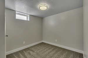 Below grade area with carpet floors and a textured ceiling
