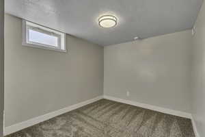 Basement featuring carpet and a textured ceiling