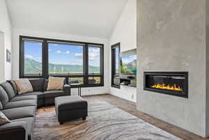 Living room featuring wood finished floors, a glass covered fireplace, healthy amount of natural light, and high vaulted ceiling