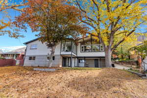 Mature trees provide shade and color