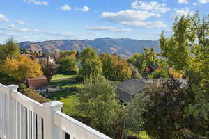View of mountain background