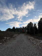 View of dirt / gravel road featuring a forest view