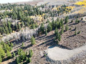 Aerial overview of property's location