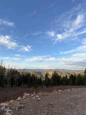 View of yard featuring a view of trees and a mountain view