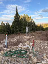 View of yard with a wooded view