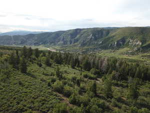 Northwest view with Open space surrounded by Pines