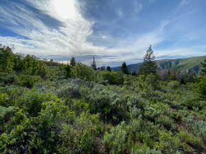 View from Southwest Corner off road