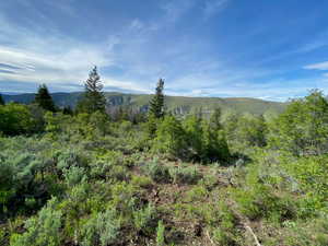 Inside lot facing North