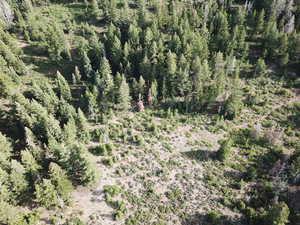 Property  boundary is just left of trail