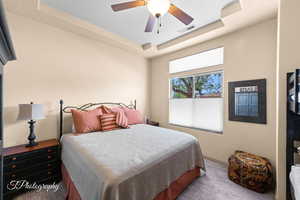 Bedroom with a raised ceiling and ceiling fan