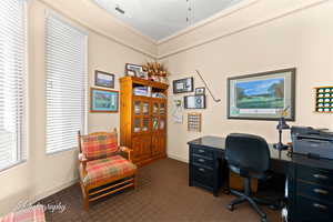 Home office with dark carpet and baseboards