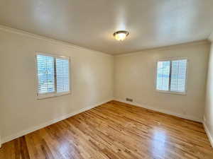 Spare room featuring crown molding, plenty of natural light, and light wood-type flooring