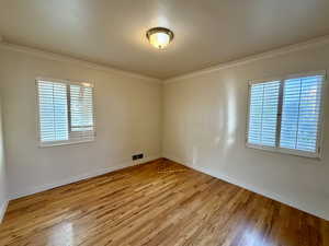 Empty room featuring ornamental molding and light wood-style floors