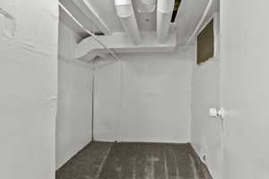 Spacious closet with dark carpet