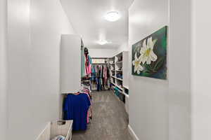 Walk in closet with dark colored carpet