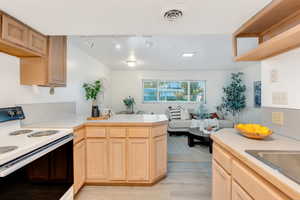 Basement kitchen opens up to living/dining area