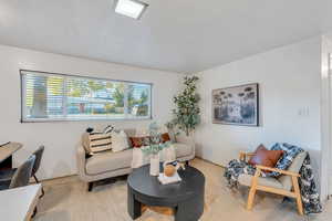 Basement has lots of natural light