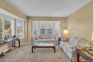 Living area with carpet