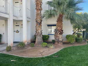 Doorway to property featuring stucco siding and a yard