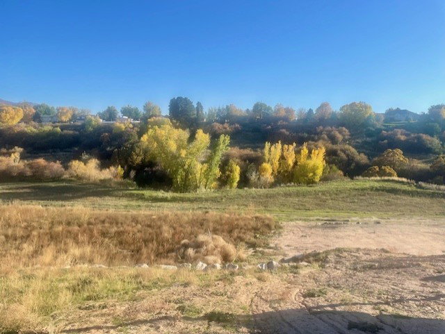 View of homesite and future city walking trail along Kays Creek.