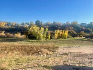 View of homesite and future city walking trail along Kays Creek.