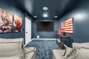 Cinema featuring carpet and a textured ceiling