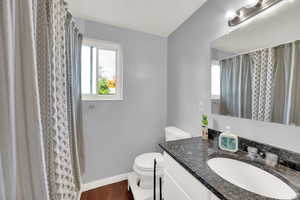 Bathroom featuring vanity, dark wood finished floors, and a shower with curtain