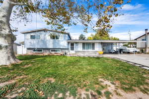 Split level home with a front yard, an attached carport, and concrete driveway