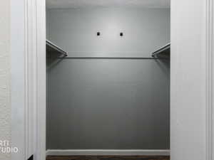 Spacious bedroom closet featuring dark wood-type flooring