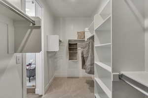Spacious closet featuring light colored carpet