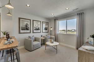 Sitting room with carpet floors, a textured ceiling, and recessed lighting