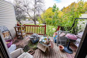 Wooden deck with grilling area