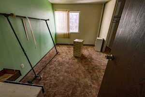 Unfurnished bedroom with carpet floors