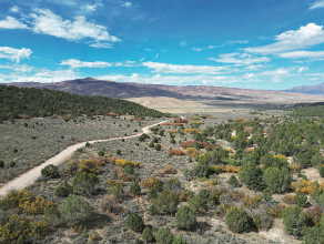 View of mountain background