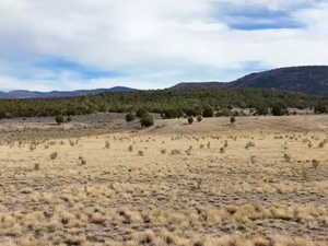 Mountain view featuring rural landscape