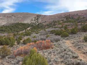 View of mountain background