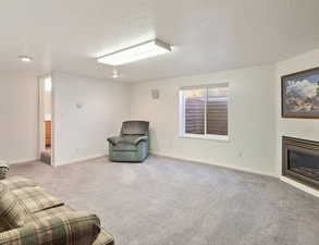 Unfurnished room featuring light carpet, a textured ceiling, and a glass covered fireplace