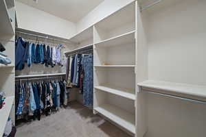 Walk in closet featuring light colored carpet