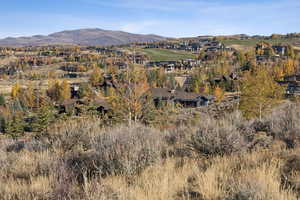 View of mountain background